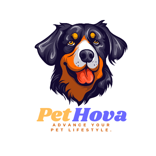 PetHova | Pet accessories store